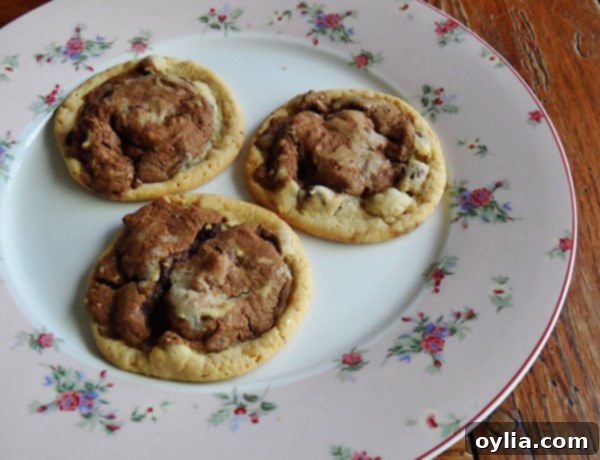 A photo of three perfectly formed two-tone chocolate chip cookies resting on a plate, highlighting their distinct halves.