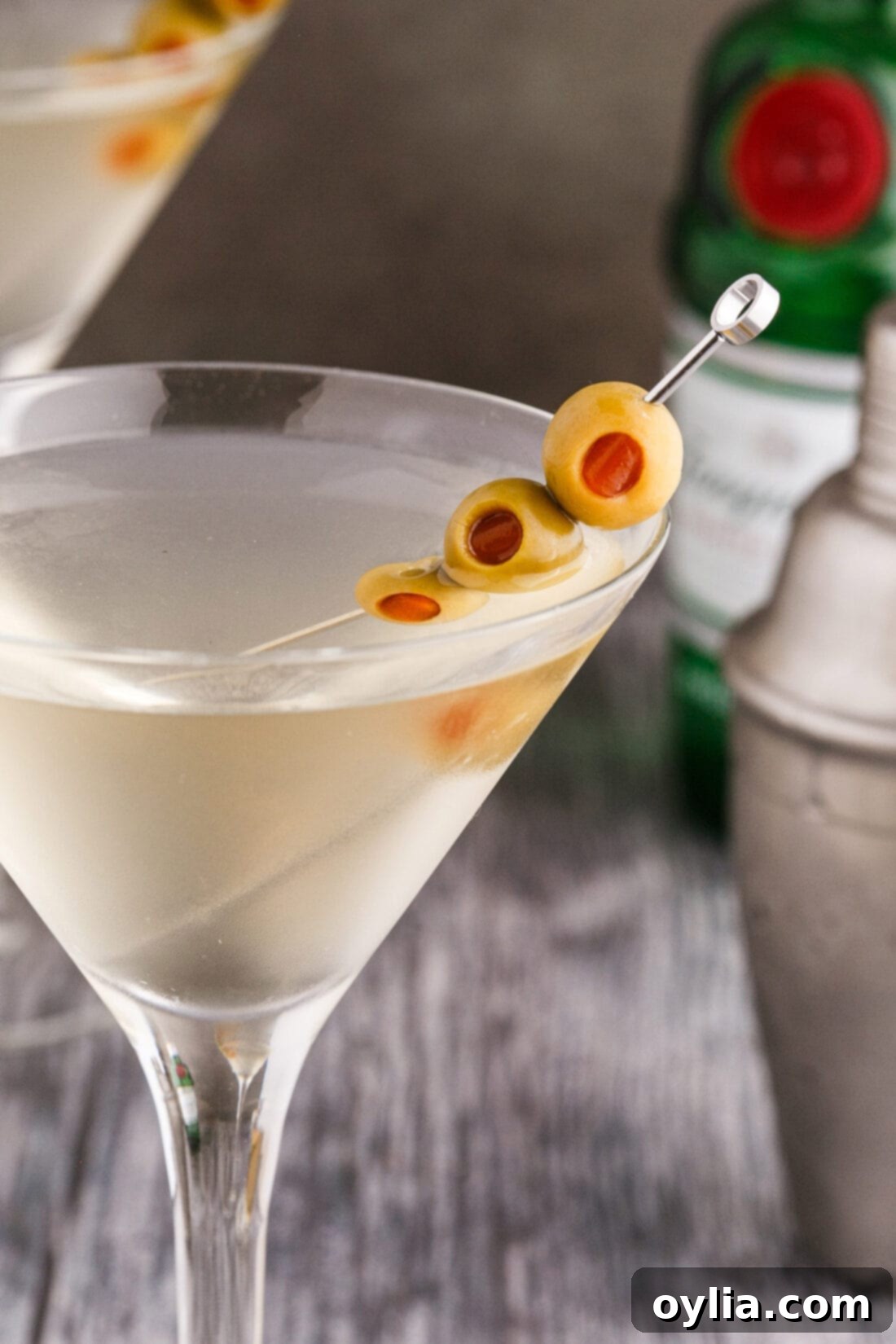 Dirty Martini 3 close up of a Dirty Martini