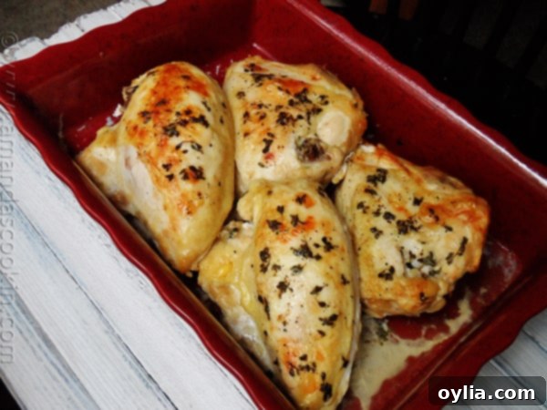 A vibrant, wider shot of the golden roasted chicken breasts in a red roasting pan, with crispy skin and juicy meat, garnished with fresh herbs, ready for the family table.