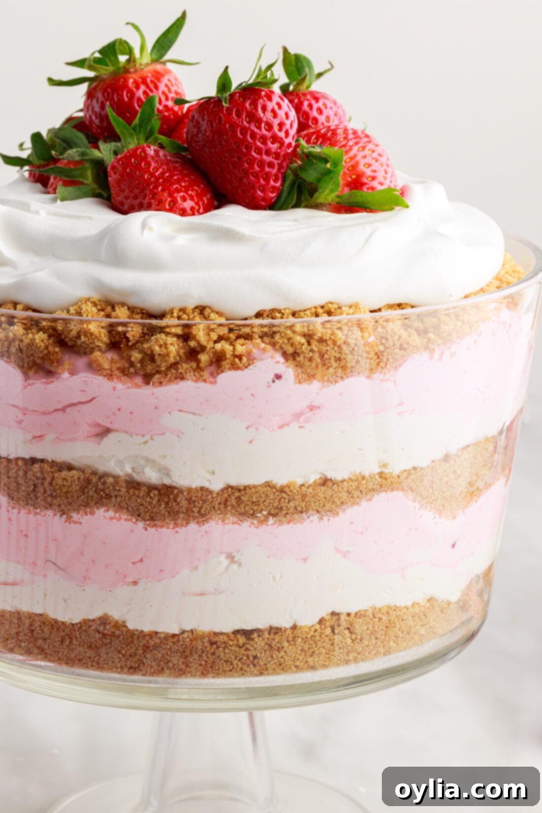 Strawberry Lasagna Trifle 2 Strawberry Lasagna Trifle with fresh strawberries on top