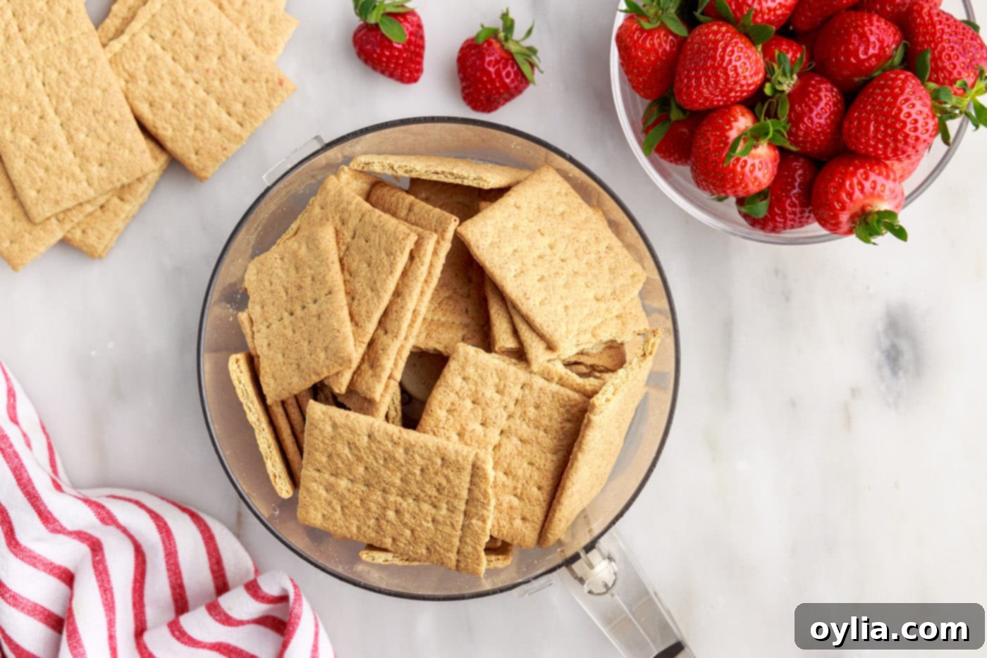graham crackers in a food processor