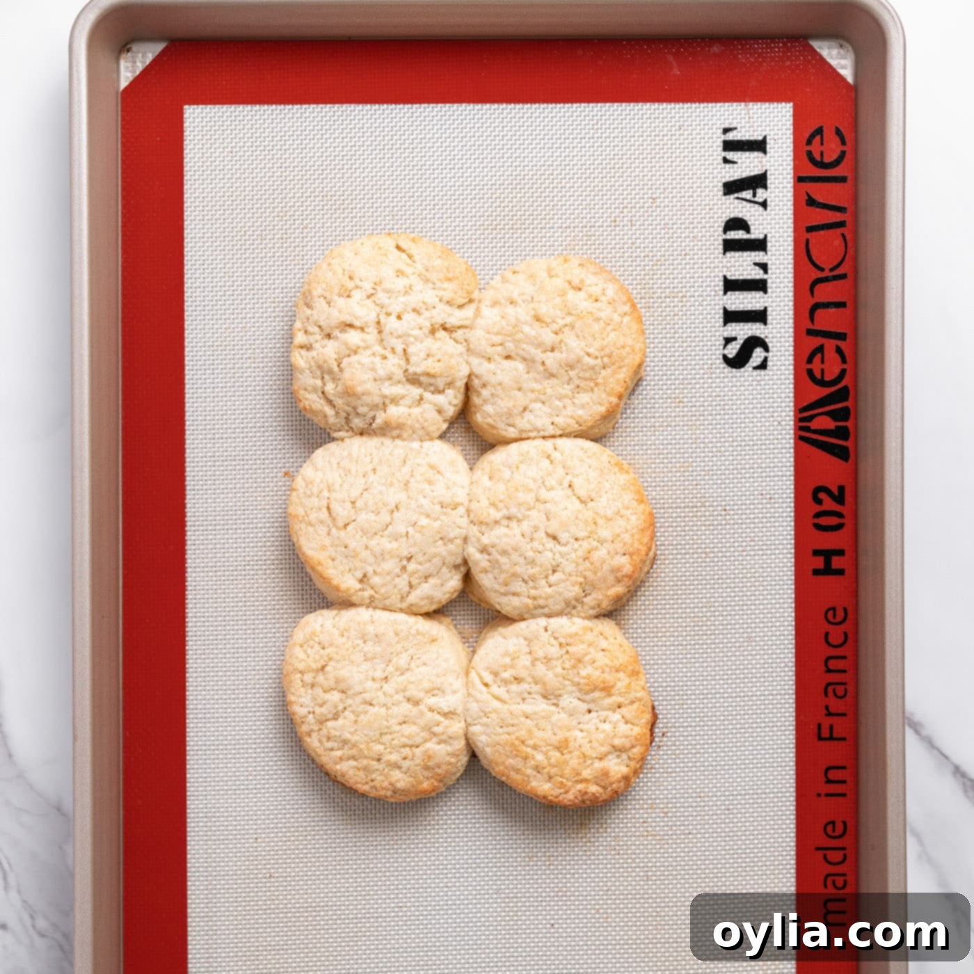 baked biscuits