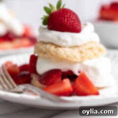 Strawberry Cloud Kisses 20 Strawberry Shortcakes