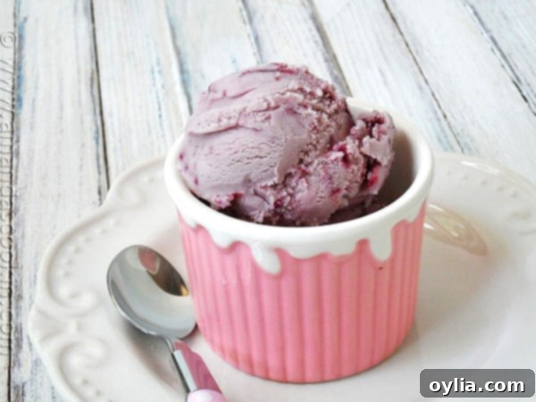 A close up photo of a scoop of vanilla blackberry jam ice cream in a pink bowl with a spoon resting to the side.