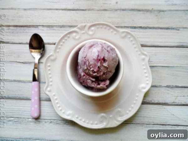 An overhead photo of a scoop of vanilla blackberry jam ice cream in a bowl with a spoon resting to the side.