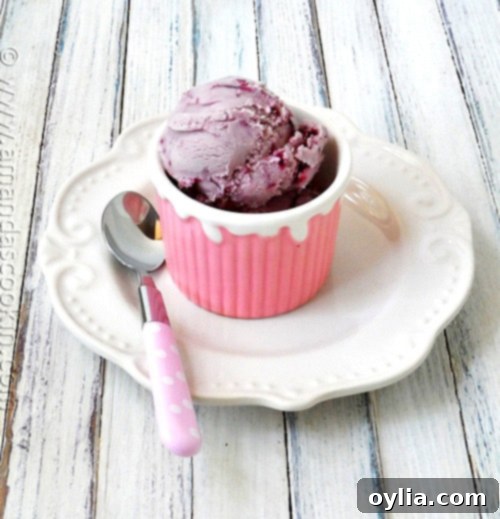 A photo of a scoop of vanilla blackberry jam ice cream in a pink bowl with a spoon resting to the side.