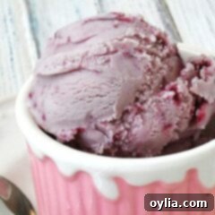 A close up photo of a scoop of vanilla blackberry jam ice cream in a pink bowl.