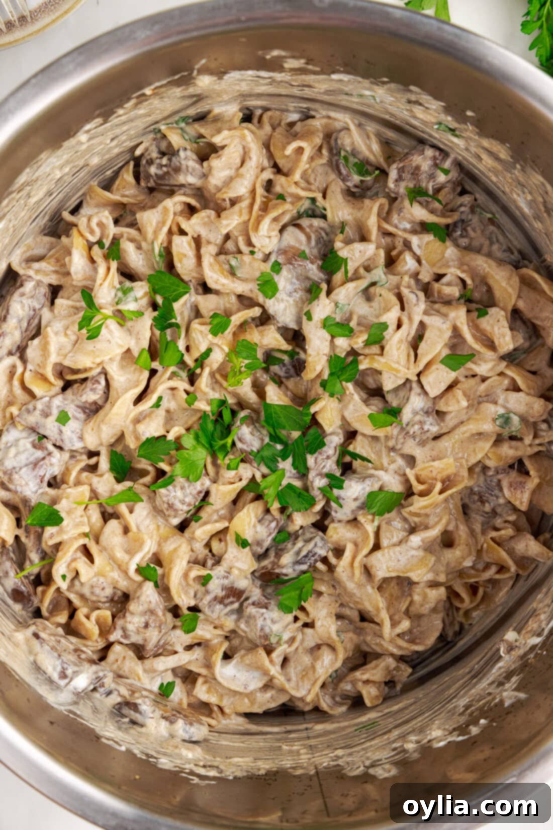 close up overhead photo of Instant Pot Beef Stroganoff garnished with fresh parsley