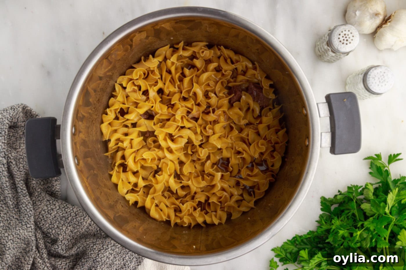 dry noodles over beef stroganoff ingredients in the instant pot