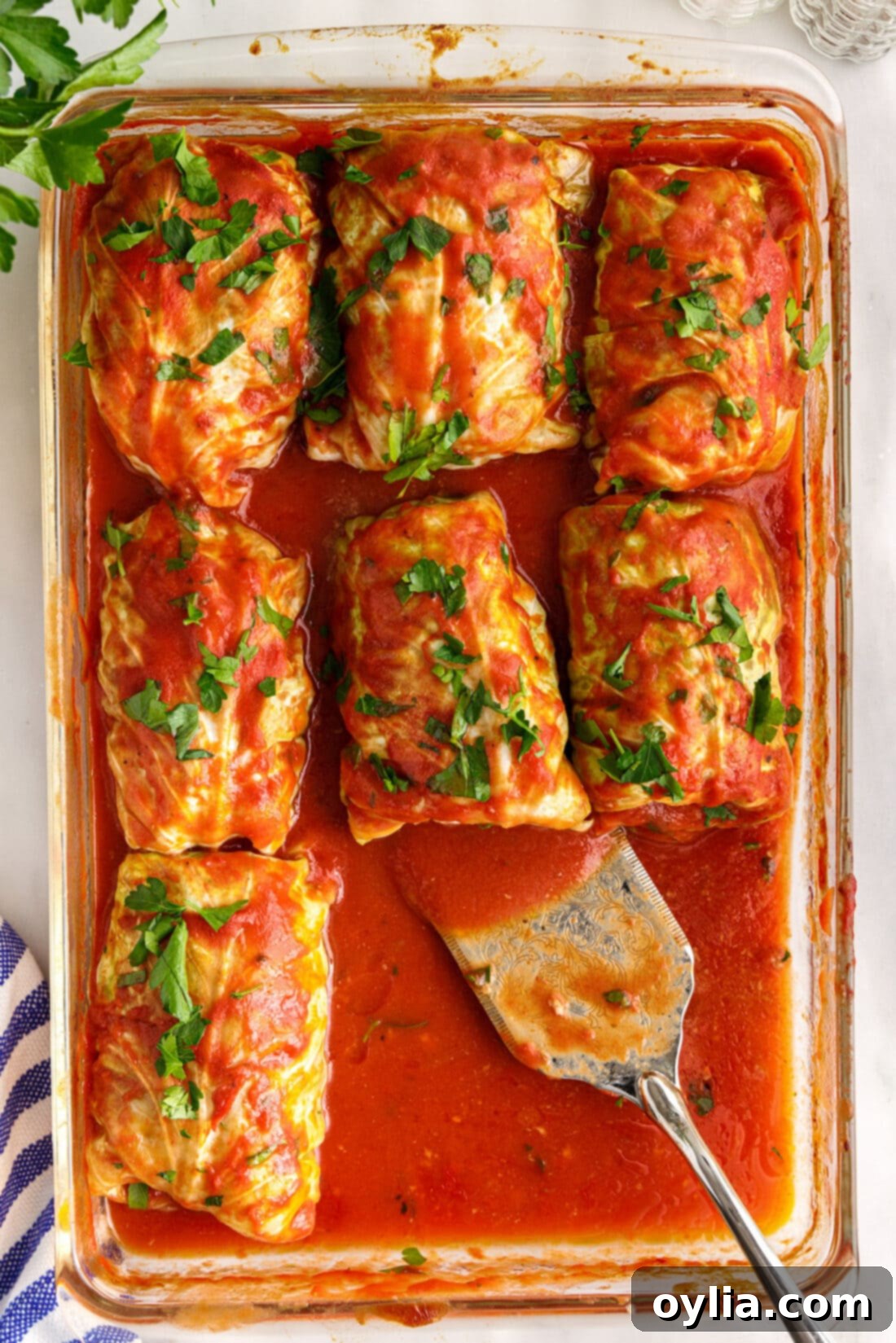 overhead photo of Cabbage Rolls and spatula