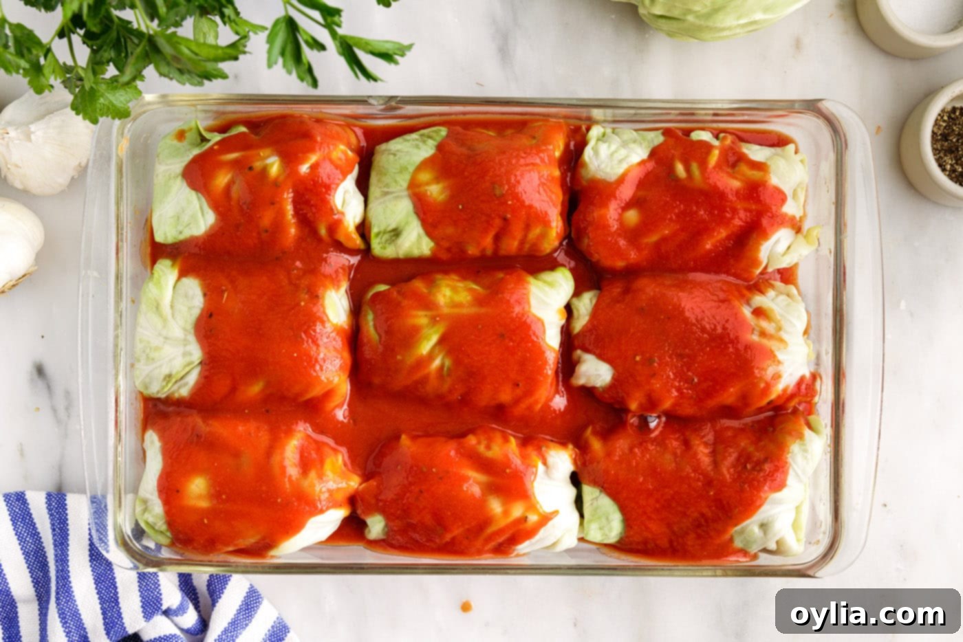 tomato sauce on top of cabbage rolls