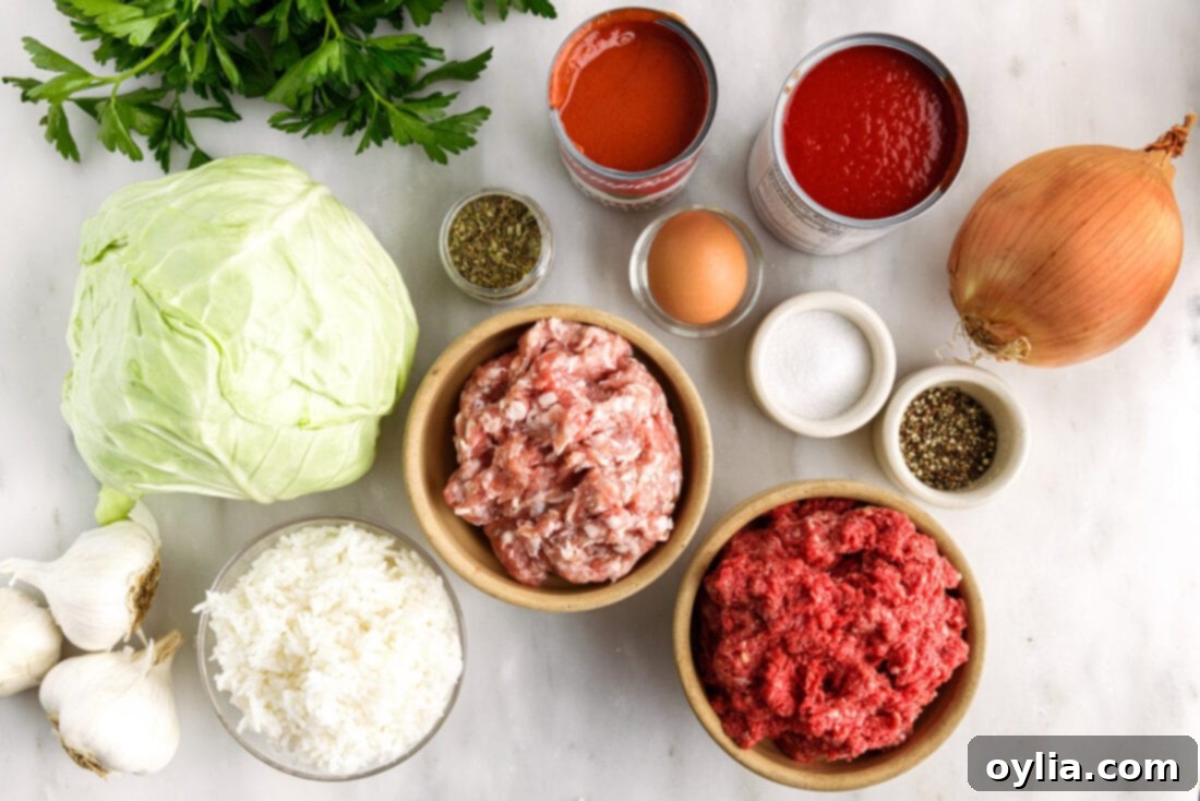 Cabbage Rolls ingredients