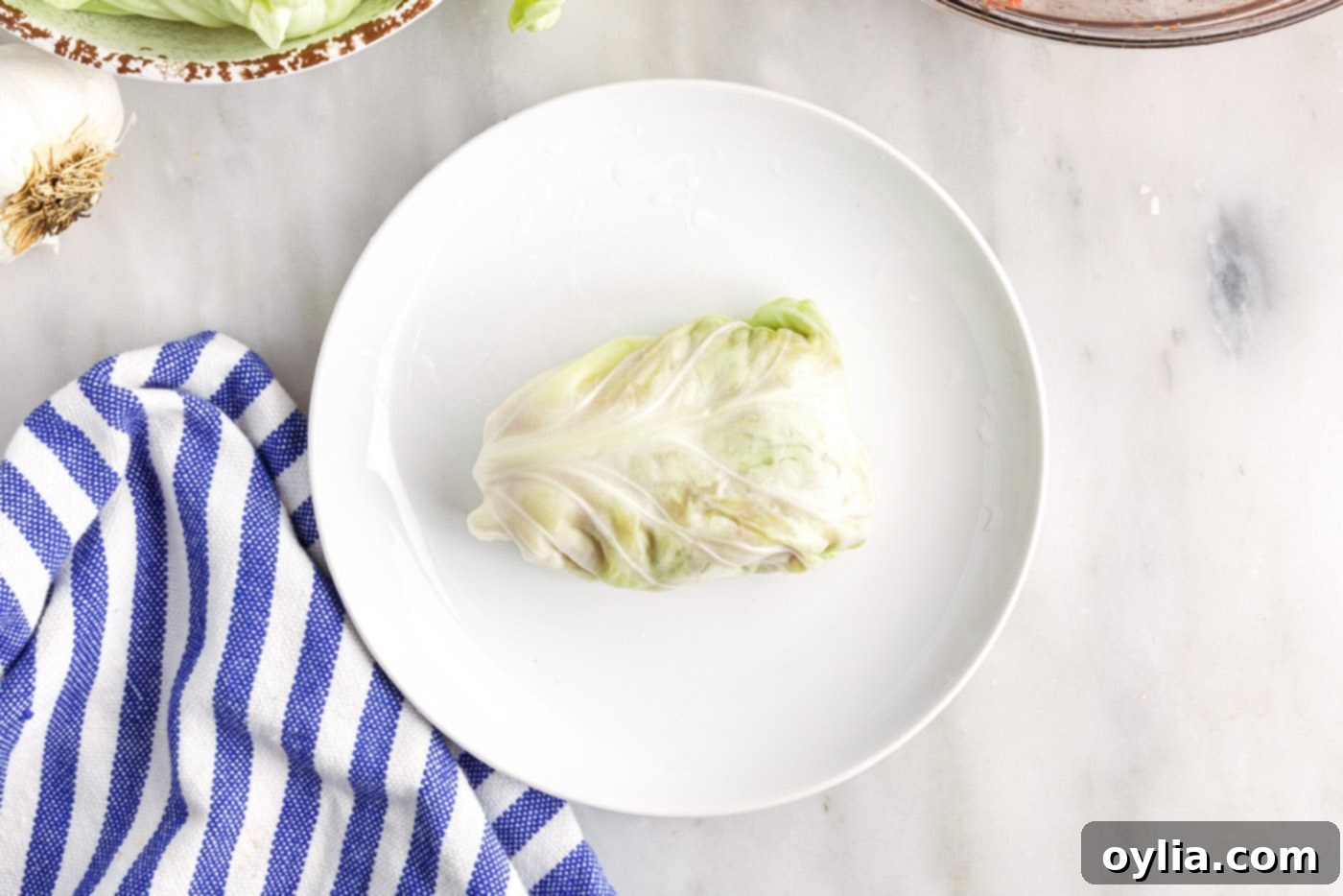 cabbage roll on a plate