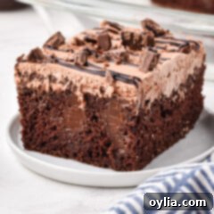 Decadent Chocolate Poke Cake 12 Chocolate Poke Cake