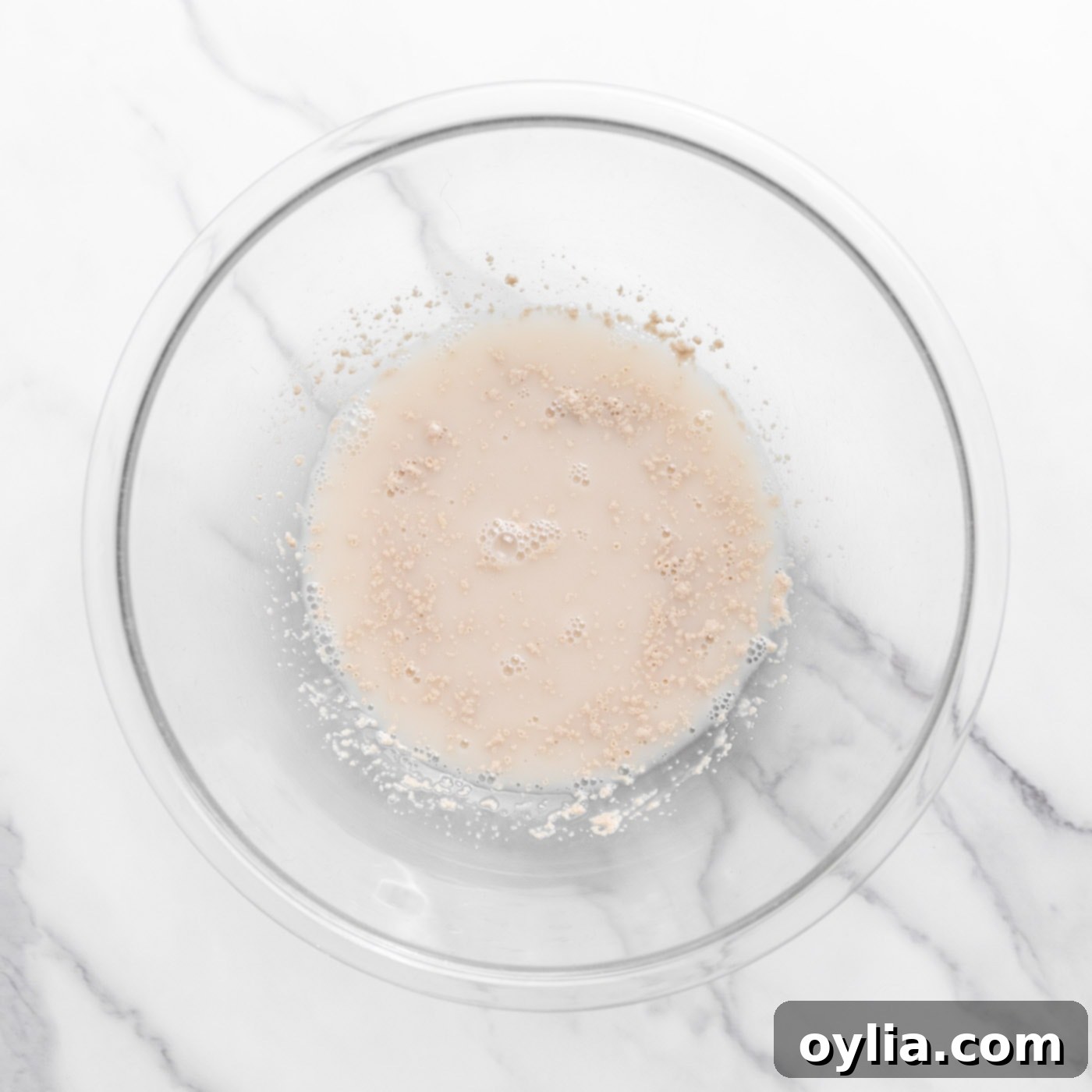 instant yeast and warm water mixing in a bowl