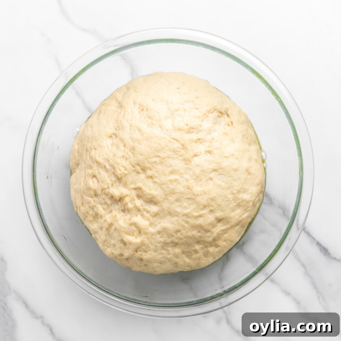 risen dough ball in a mixing bowl