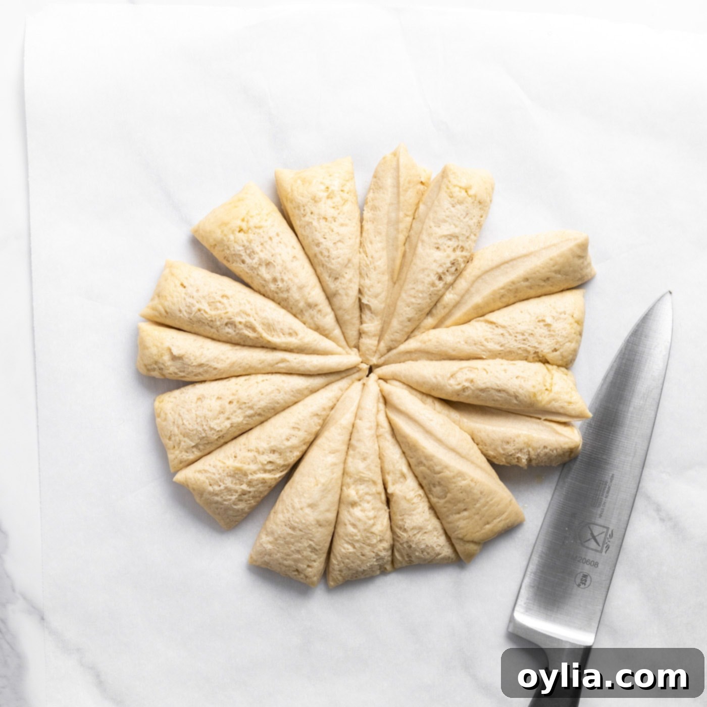 cutting bread dough into 16 equal pieces
