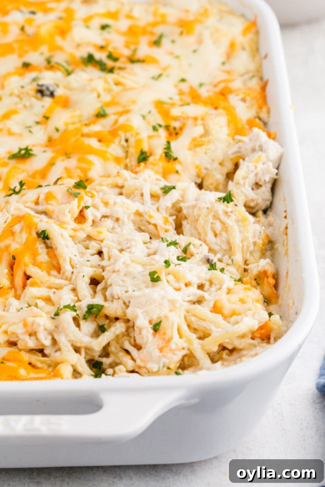 Chicken Tetrazzini in a pan