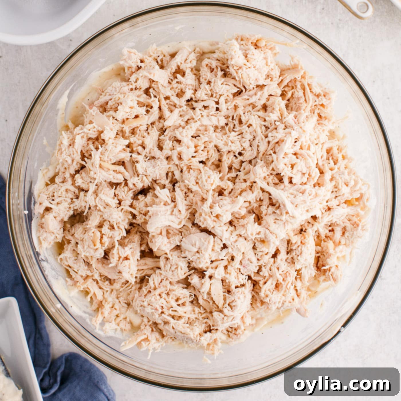 chicken tetrazzini mixture