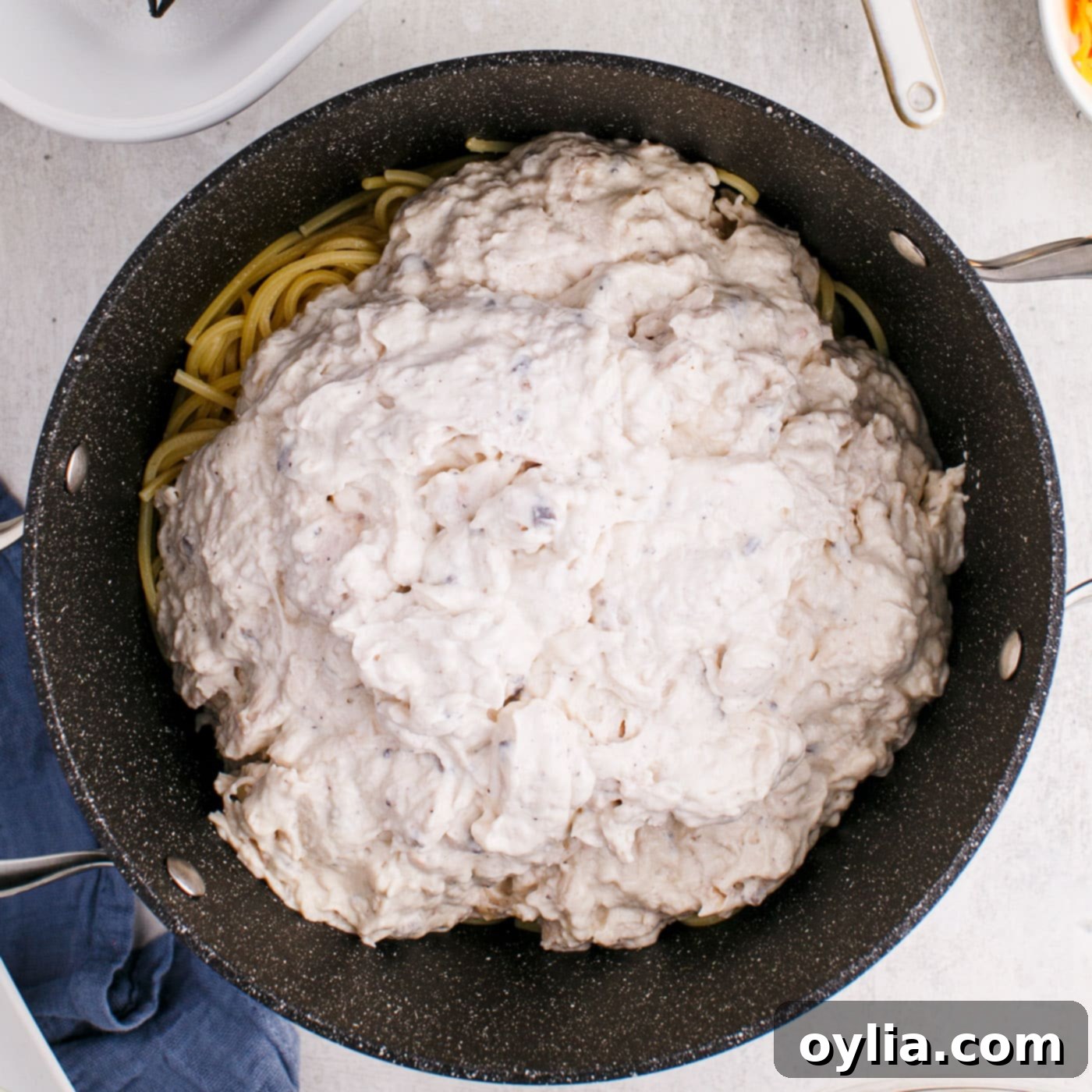 chicken creamy sauce on top of spaghetti noodles