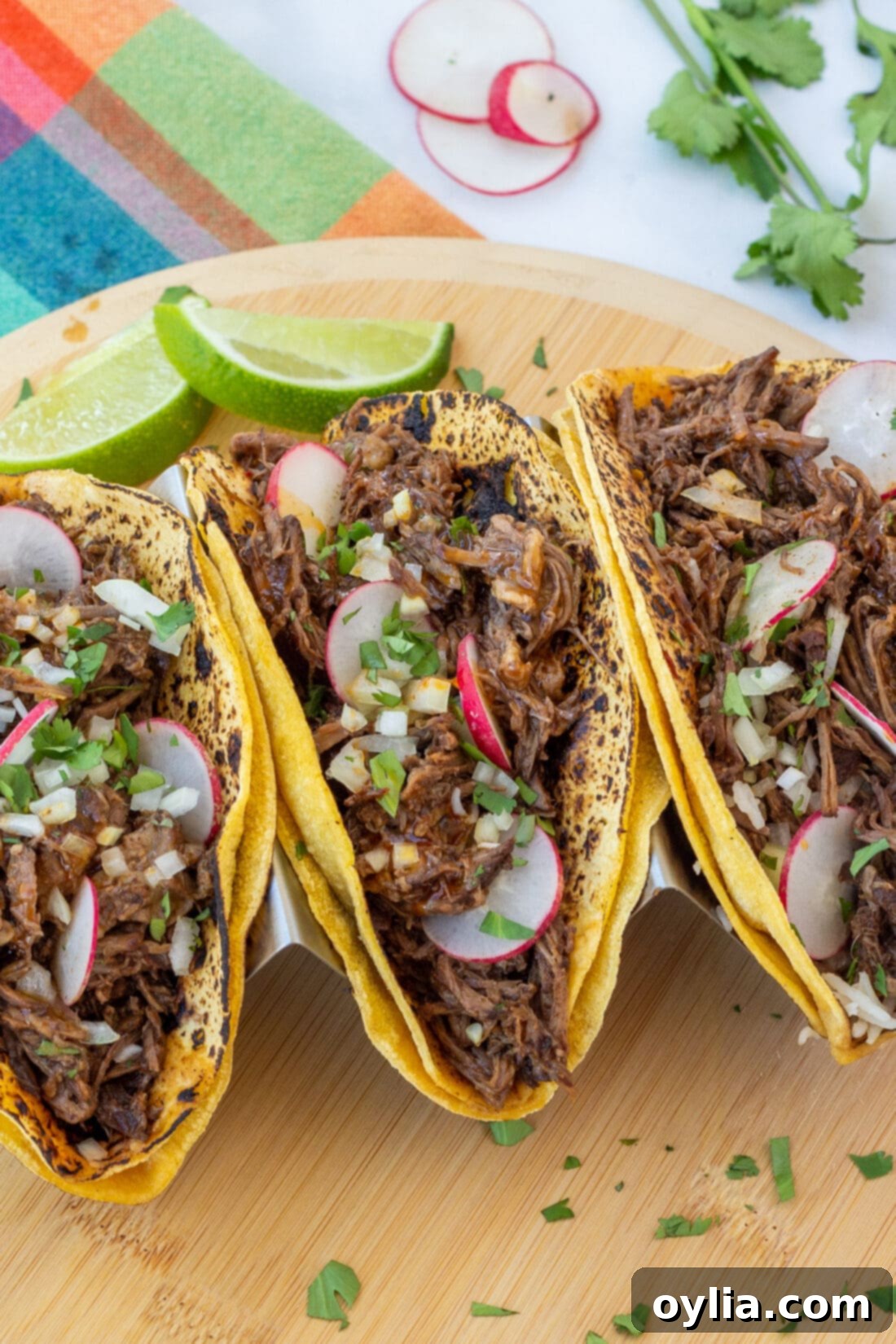 Close-up of shredded Beef Barbacoa in warm corn tortillas, garnished with cilantro and radishes, ready to be served