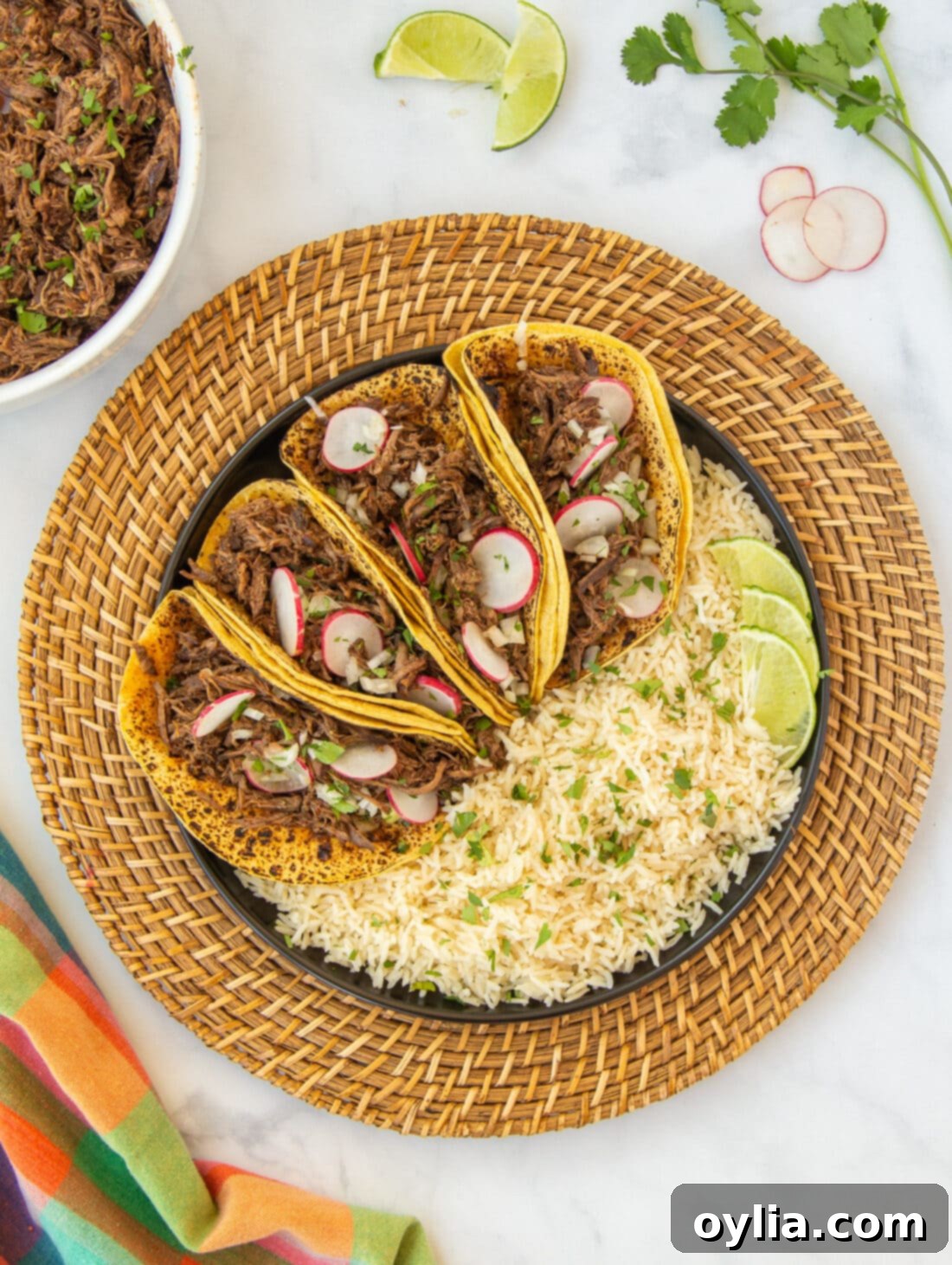 A vibrant platter featuring Beef Barbacoa served with rice, corn tortillas, and fresh lime wedges, ready for assembly