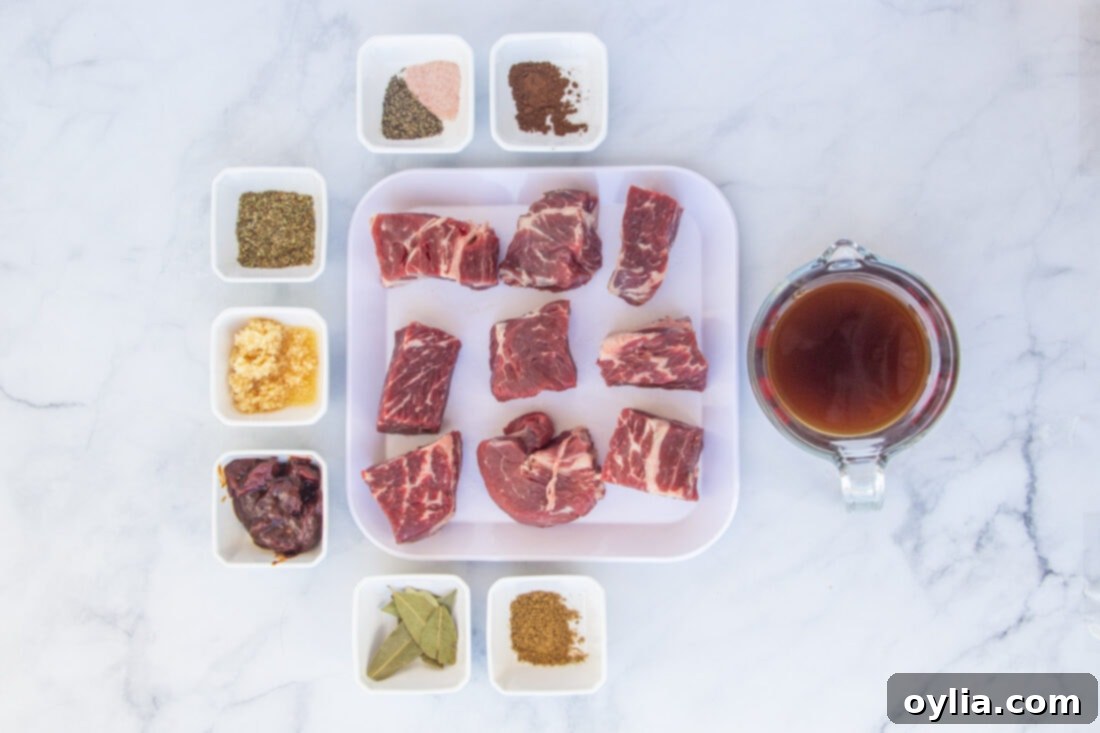 A collection of fresh ingredients laid out, including beef chuck roast, chipotle peppers, and various spices, prepared for making barbacoa