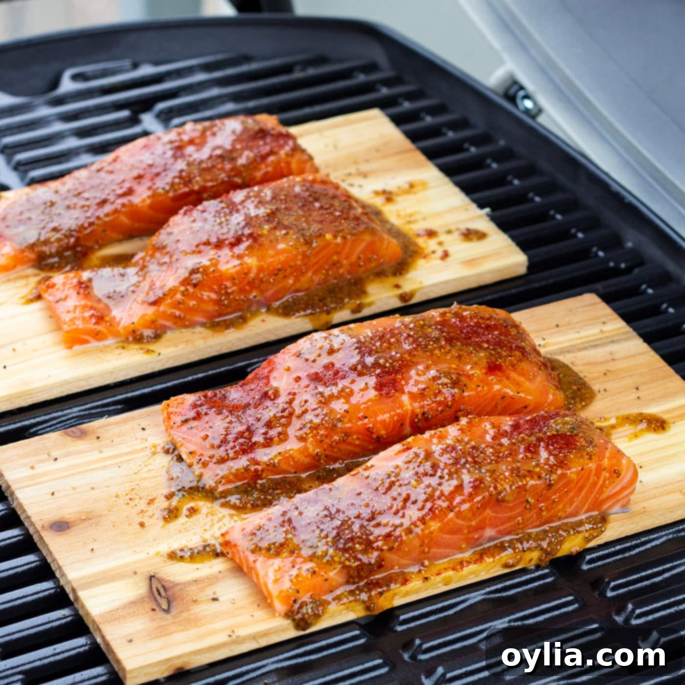 cedar plank salmon on the grill