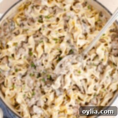 Ground Beef Stroganoff