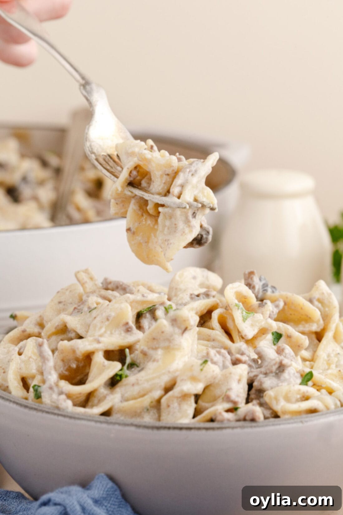 fork of Ground Beef Stroganoff