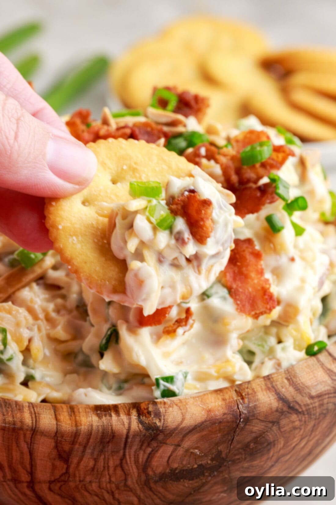 The Ultimate Million Dollar Dip 7 Cracker being dipped into Million Dollar Dip