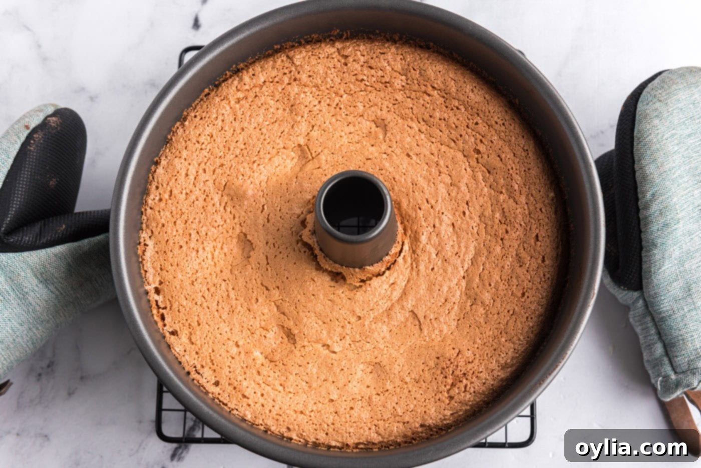 baked angel food cake in a tube pan