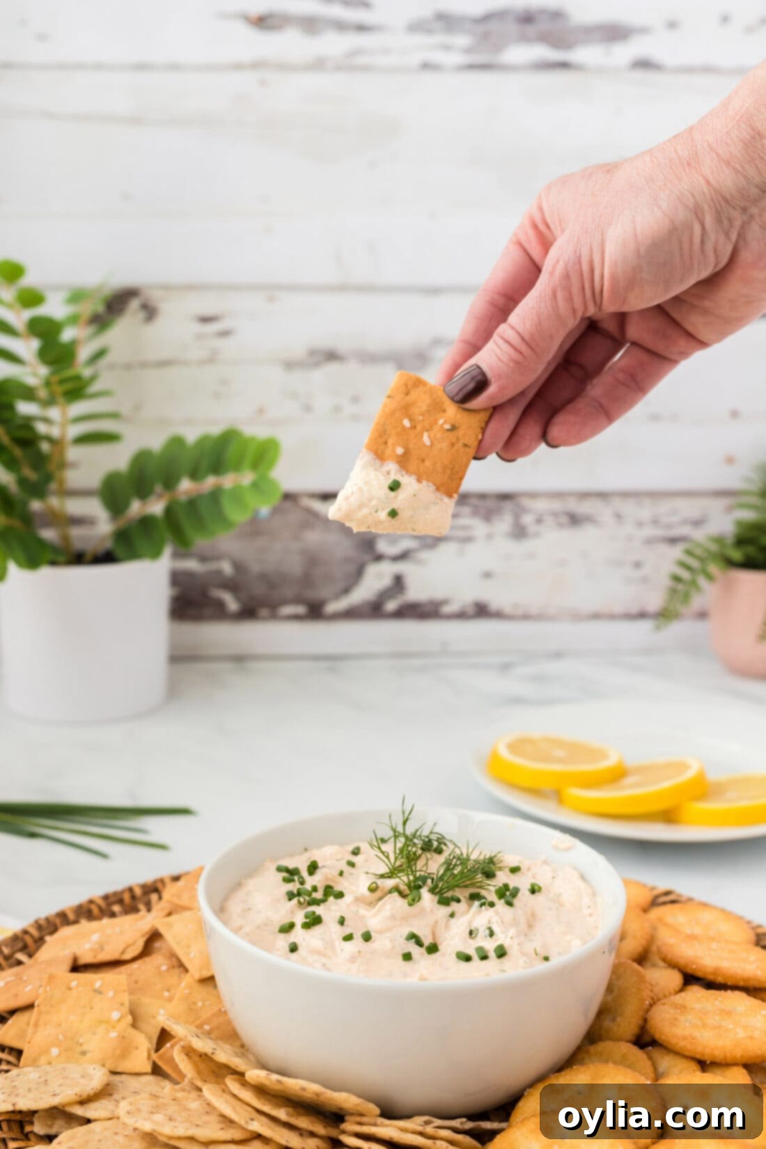 Gourmet Smoked Salmon Dip 3 A cracker being dipped into a bowl of creamy Smoked Salmon Dip, highlighting its rich texture.