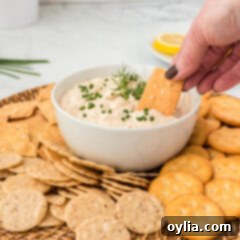 Gourmet Smoked Salmon Dip 8 Smoked Salmon Dip