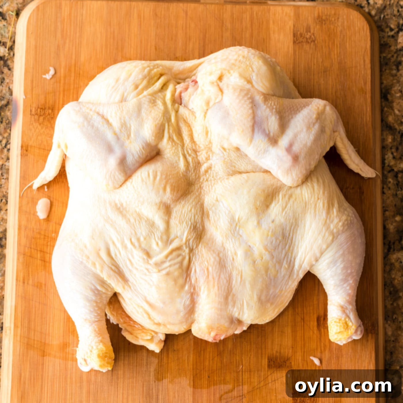 spatchcocking a whole chicken