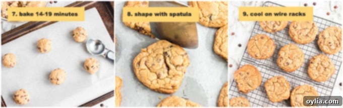 Warm Chocolate Chip Bliss 3 Photo showing scooped chocolate chip cookie dough on a baking sheet and baked cookies cooling on racks