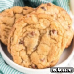 Warm Chocolate Chip Bliss 4 Bowl filled with freshly baked, soft jumbo chocolate chip cookies