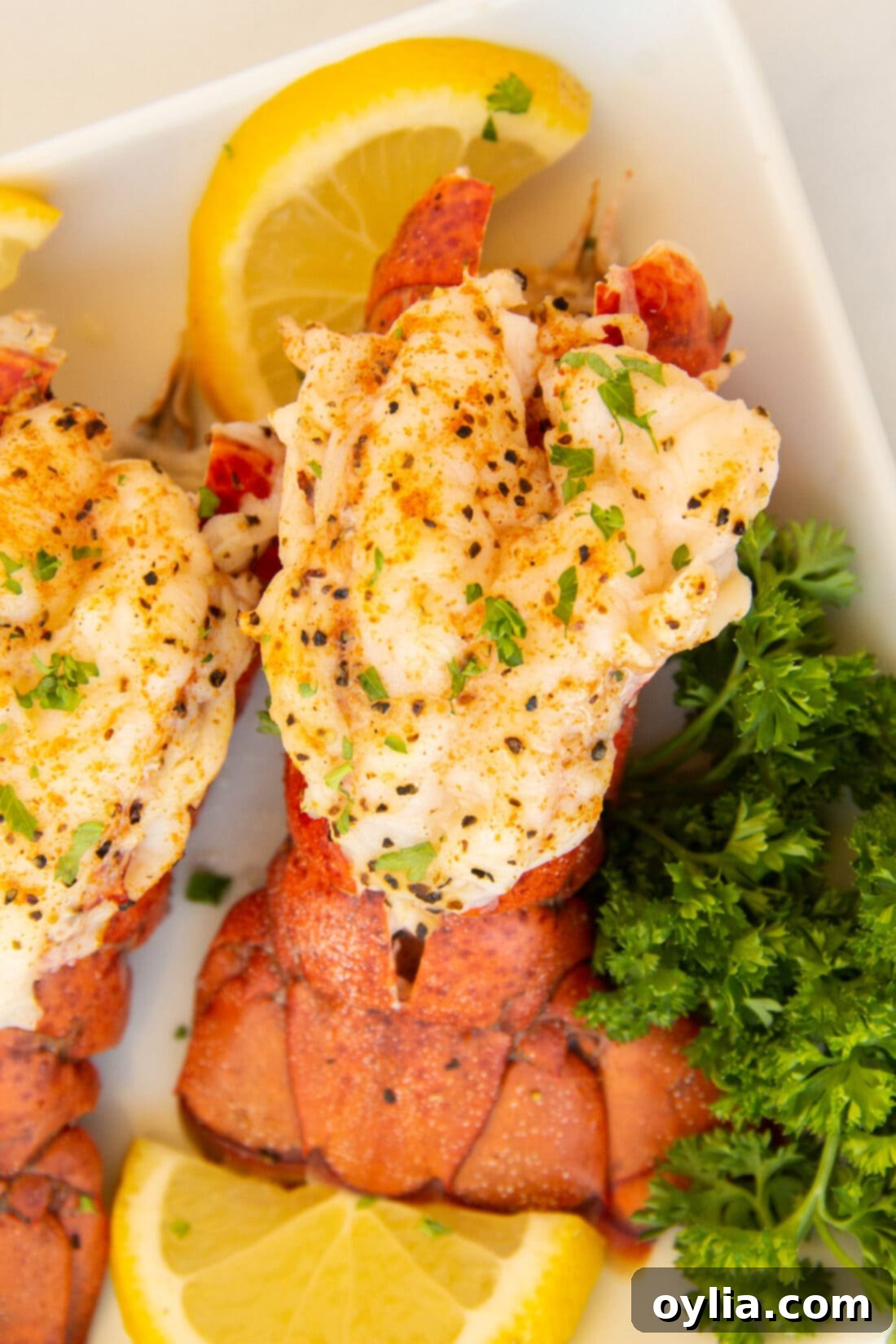 Steamed Lobster Tail on plate with parsley and lemon, garnished for a perfect meal