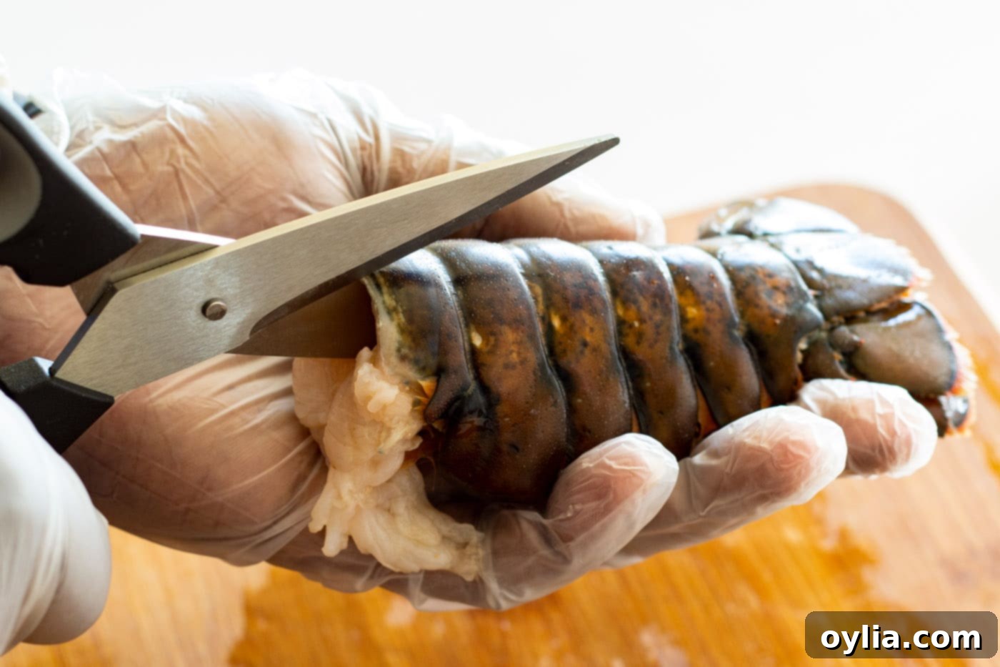 Kitchen shears carefully cutting down the middle of a lobster tail shell