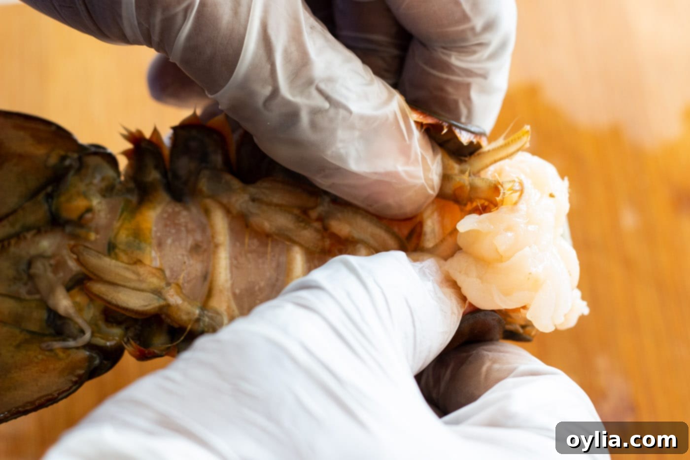 Chef demonstrating removing lobster meat from its shell gently