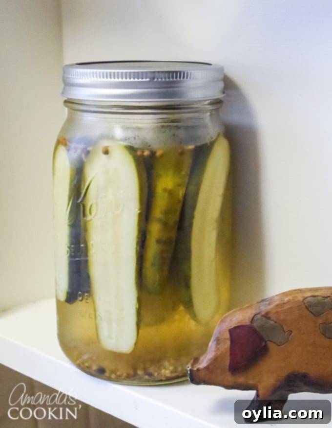 The Ultimate Homemade Claussen Pickle Recipe 2 Pickles in a jar