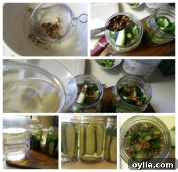 Homemade Claussen Pickles Copycat steps - AmandasCookin.com Homemade Claussen Pickles Copycat steps by AmandasCookin.com