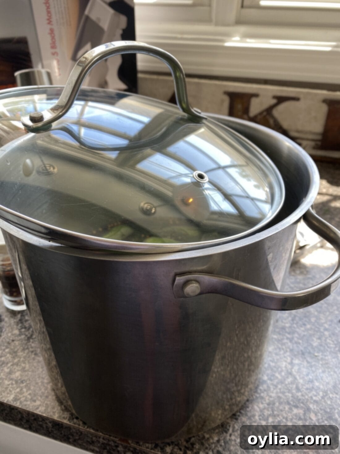 The Ultimate Homemade Claussen Pickle Recipe 5 pot with lid partially covering it