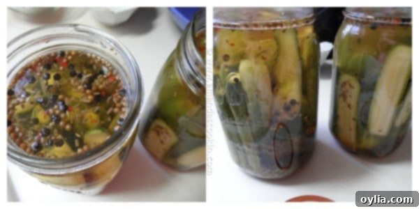 Homemade Claussen Pickles Copycat steps - AmandasCookin.com Homemade Claussen Pickles Copycat steps from AmandasCookin.com