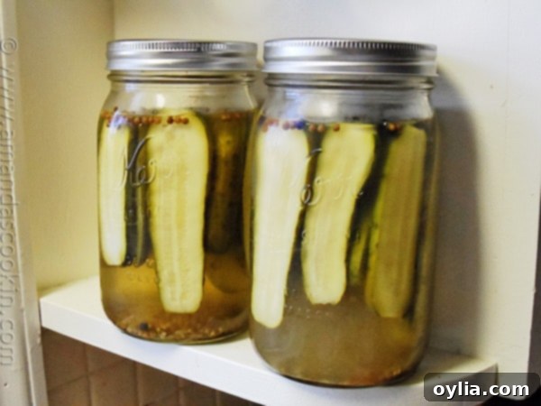 Homemade Claussen Pickles Copycat - AmandasCookin.com Homemade Claussen Pickles Copycat by AmandasCookin.com