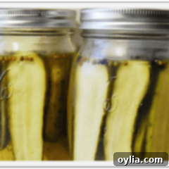 The Ultimate Homemade Claussen Pickle Recipe 6 jar of copycat Claussen Pickles