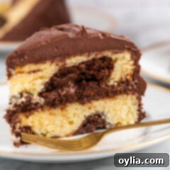 Marble Cake with chocolate fudge frosting