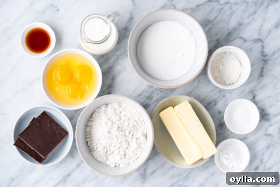 Marble Cake ingredients laid out on a counter, including flour, sugar, butter, eggs, milk, chocolate, and cocoa powder