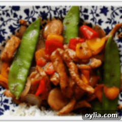 A close up photo of a plate of peppered pork stir fry with sweet peppers.