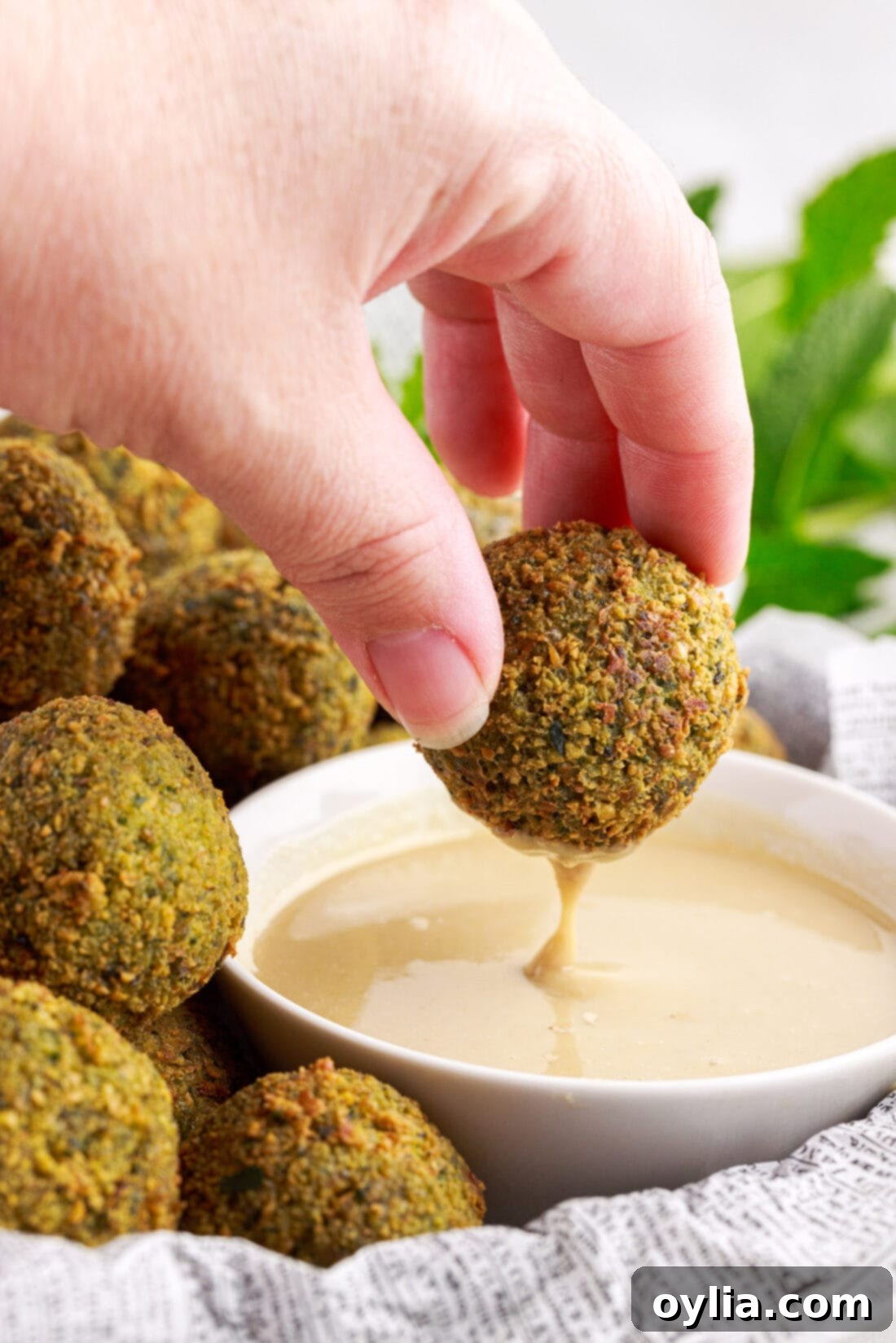 Crispy homemade falafel being dipped into a creamy sauce, showcasing its golden exterior.
